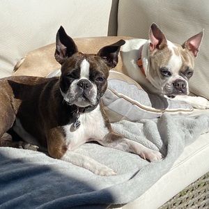 Meet your Posher, Nancy